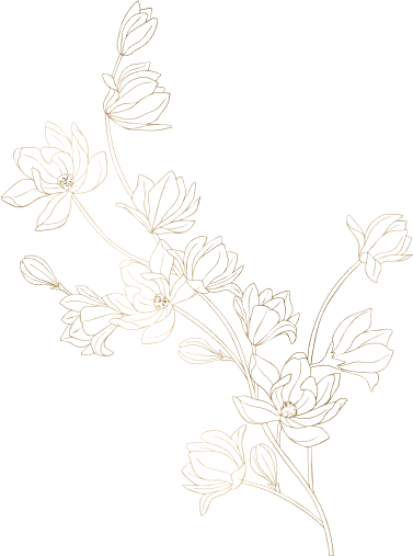 LC Nails Salon & Spa in Colorado Springs, CO 80906 | nail salon 80906